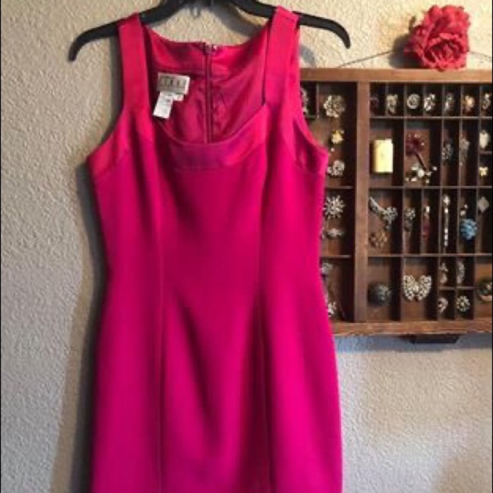 Gorgeous pink dress Size 8P